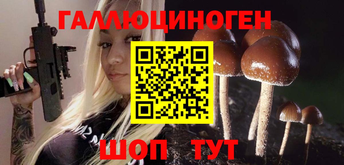 Галлюциногенные грибы Psilocybine cubensis  Вход с VPN  Усть-Илимск  Псилоцибиновые грибы прущие грибы 